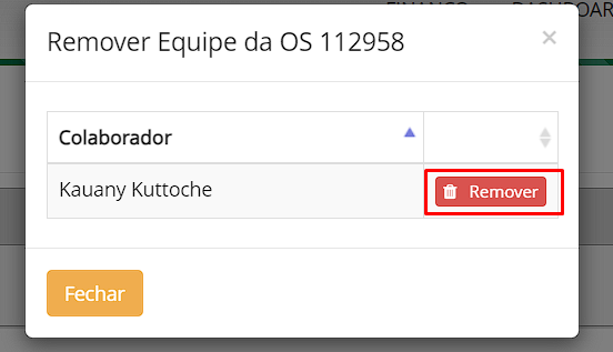 removendo_equipe.png
